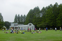 img15cii5157_1.jpg