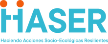 HASER - Original Logo - phrase 1.png