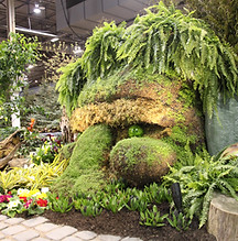 Canada Blooms Vandermeer Nurseries