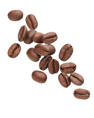 giuserppe sdgamjbarti av (13).png