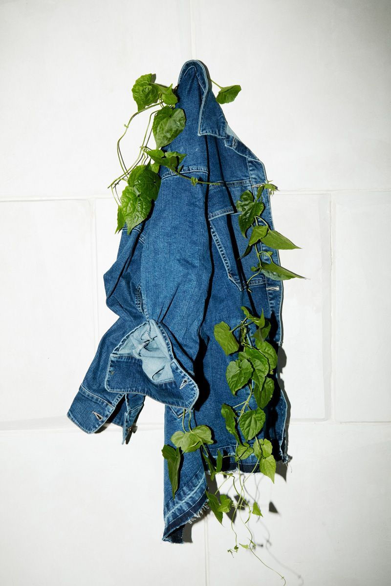 Será que a sua marca está cometendo greenwashing? O que é greenwashing?