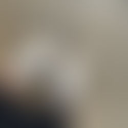 TRF-2 upholds cancellation of trademark that imitated New Balance logo, reinforcing distinctiveness standards in the fashion market