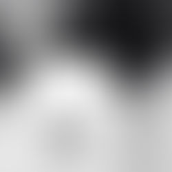 Franquias de marcas de moda cresceram em 8,5% em 2024