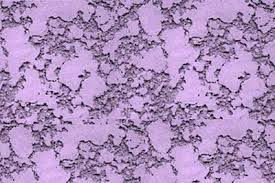 GEL ENVELHECEDOR