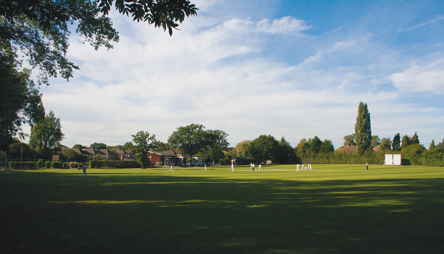 Cricket view OFs lo res.jpg