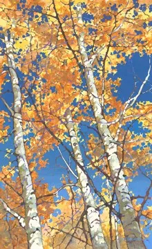 Looking Up by Dan Wiemer