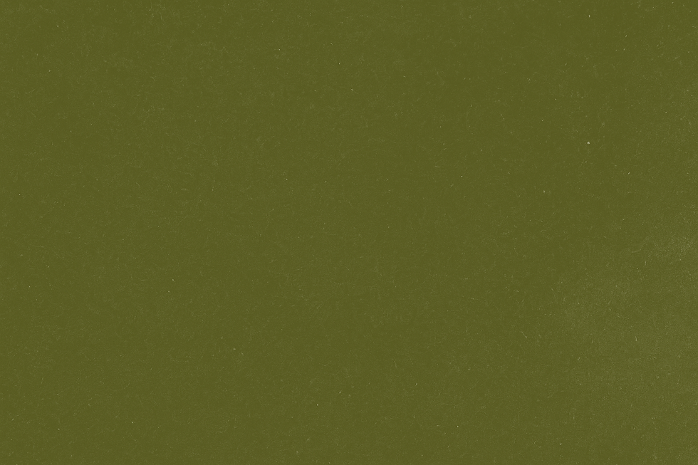 ChatGPT Image May 5, 2025 at 08_43_11 AM.png