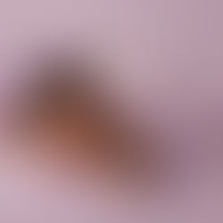 newborn photo in lavender