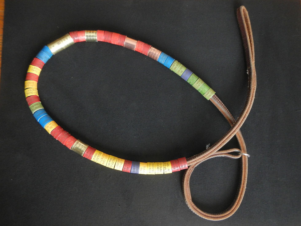 Paid Dual Limit & Multi-Species Story Bands