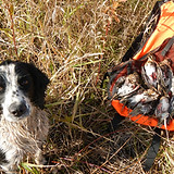 Chaos Limit Snipe IA_edited.jpg