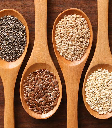 seedz.jpeg
