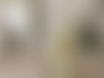 【Maison de Luce】#195