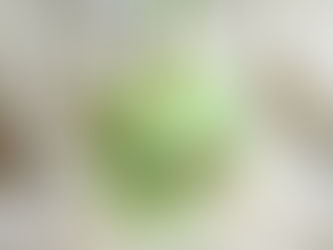 【Maison de Luce】#199