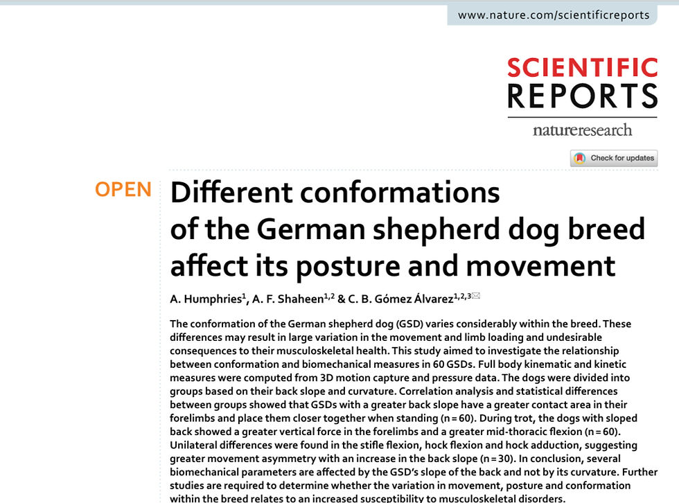 Different conformations of the German shepherd dog breed affect its posture and movement
