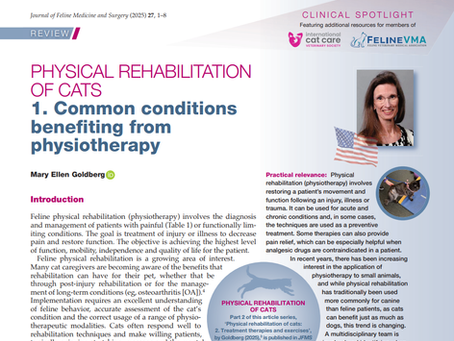 Physical rehabilitation of cats: 1. Common conditions benefiting from physiotherapy