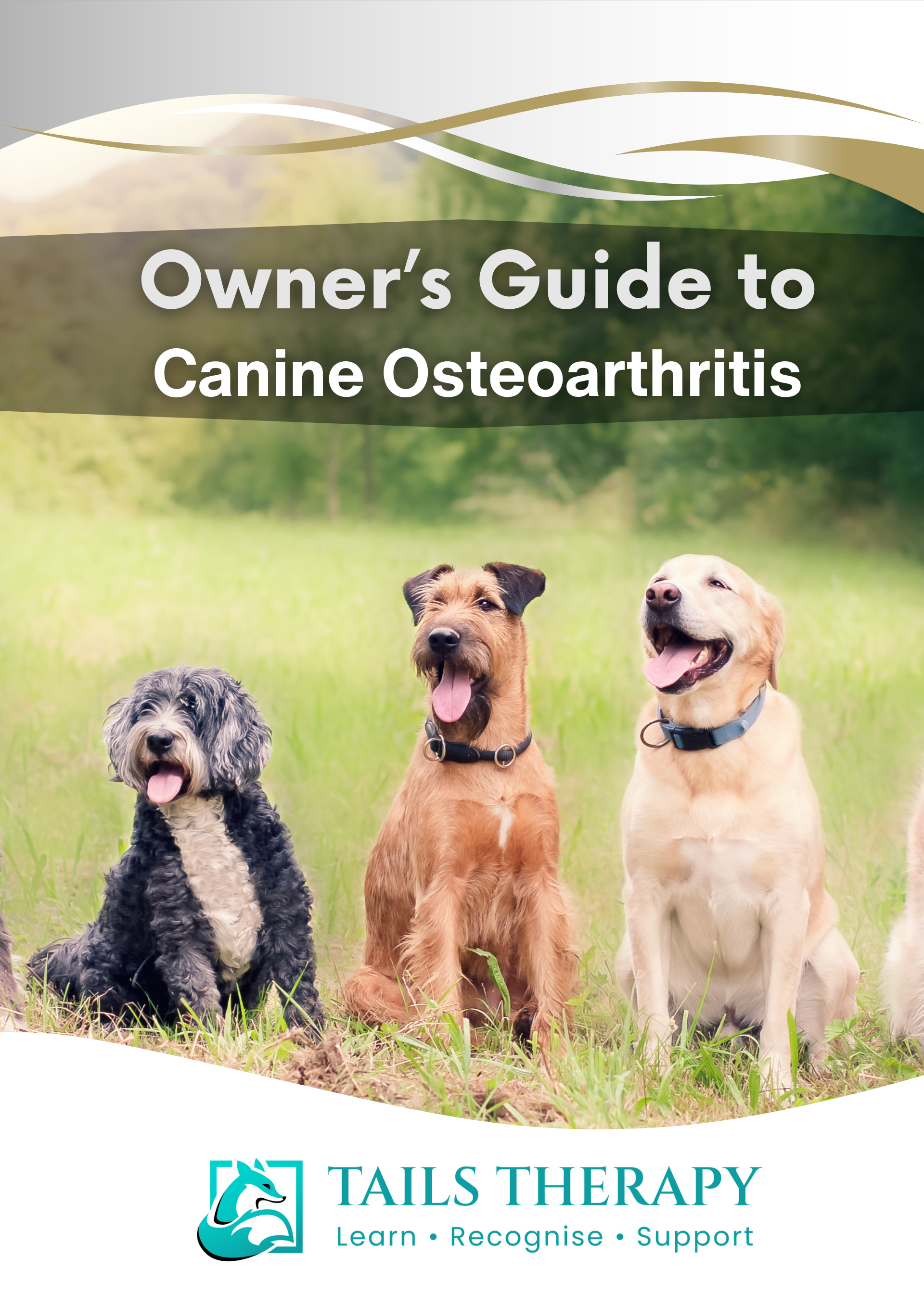 Owners Guide to Canine Osteoarthritis