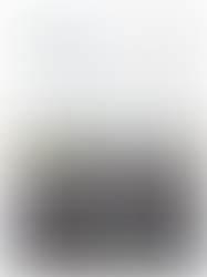 300 סלי מזון חולקו ע"י מתנדבי עמותת רעים