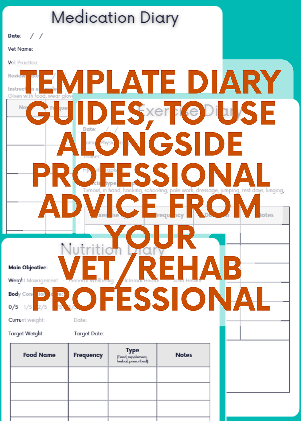 Thumbnail: Equine Osteoarthritis Diary