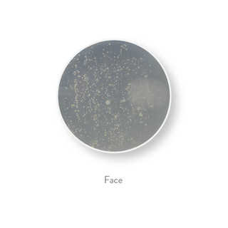 bacteria all 30-21.jpg