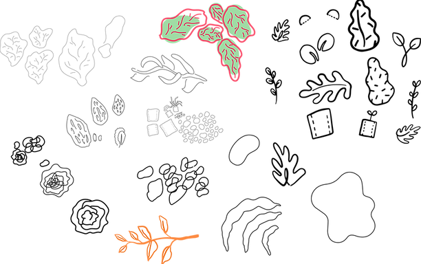 Asset 4 (3).webp