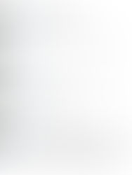 the aestheticism of being chronically online