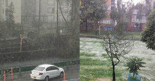 Las fuertes lluvias que se registraron en Bogotá: Granizada y caída de árboles