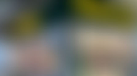 Se viralizaron los “indispensables” para la cocina del Dollarcity: De “esponja mágica” a