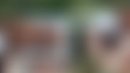 En Antioquia: Un ternero se montó en el techo de una casa para descansar