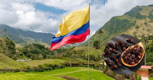 Listados de “alimentos callejeros peor calificados del mundo”, dejó en el top a dos comidas colombia