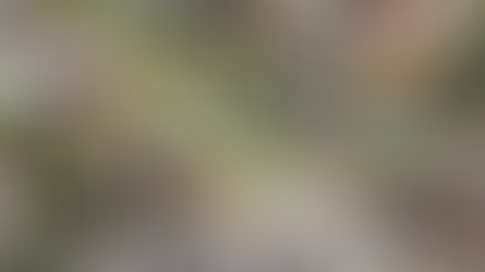 Balacera dejó 3 personas fallecidas en el sur de Bogotá