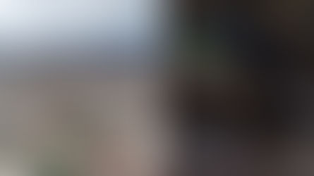 Ratas en Bogotá: Vecinos de un barrio ya no pueden más y denuncian emergencia sanitaria