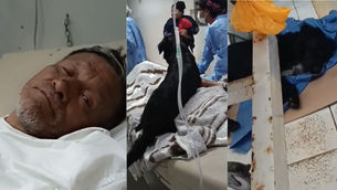Hombre atraviesa compleja situación en el hospital y solo pide que no abandonen a su perrito