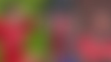 Así celebró don ‘Mane’ el gol de su hijo Luis Díaz con el Liverpool: “La mejor imagen de