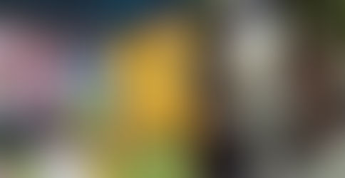 Pelea en Barranquilla: Hinchas del Junior y del Atlético Bucaramanga protagonizaron riña