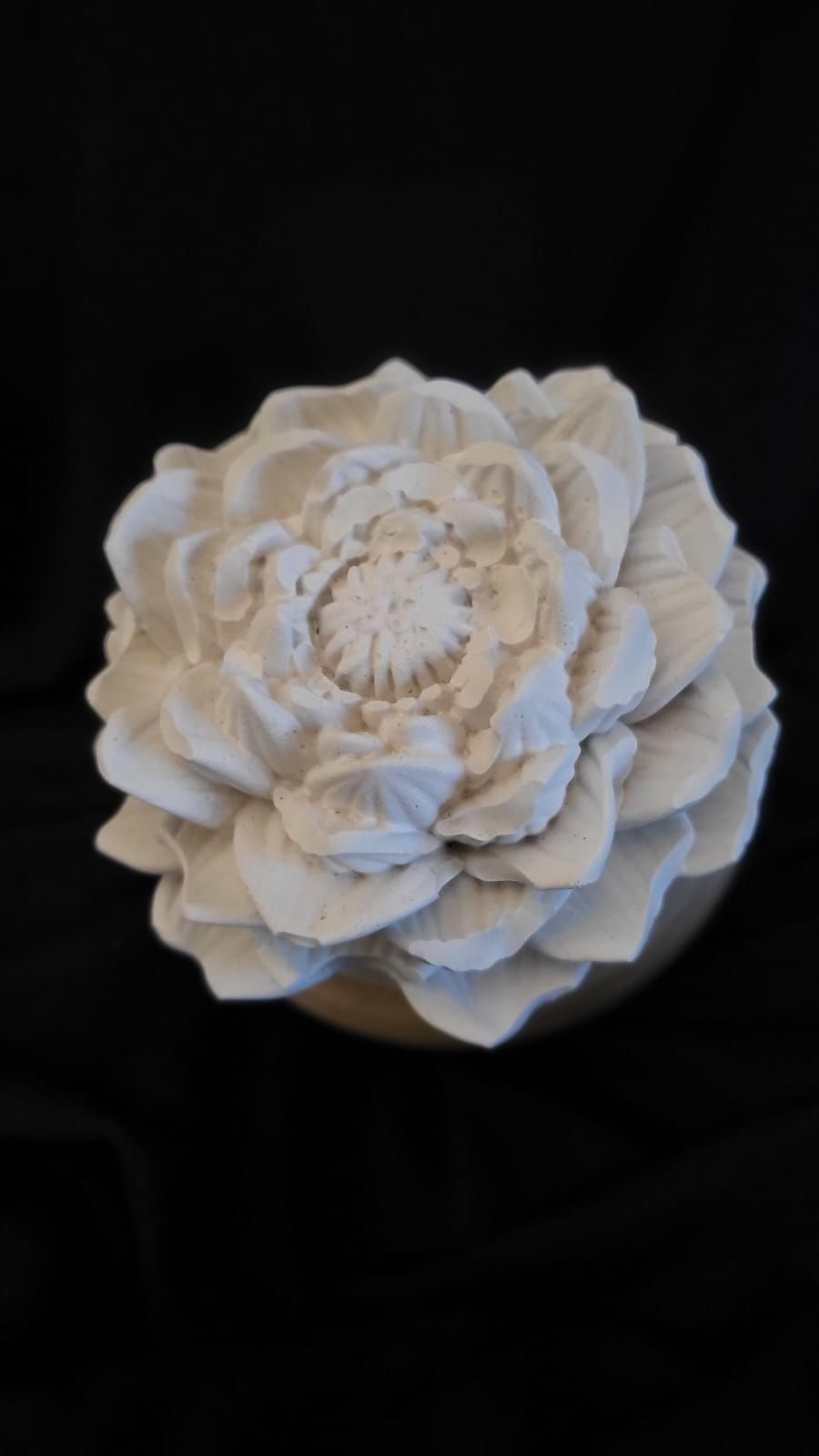 Thumbnail: Flower Diffuser Gift Set