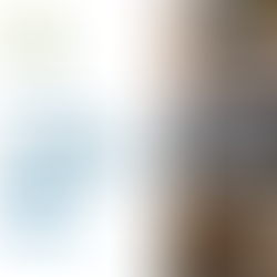 Continúan los aranceles para la importación de ciertas mercancías