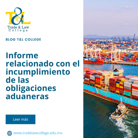 Informe relacionado con el incumplimiento de las obligaciones aduaneras