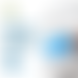 Renovación del Registro en el Esquema de Certificación de Empresas OEA 2025