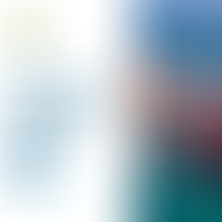 La Manifestación de Valor Electrónica en el Despacho Aduanero en contingencia