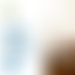 Facilidades y obligaciones de las Empresas “OEA” con Relación a la Manifestación de Valor Electrónica