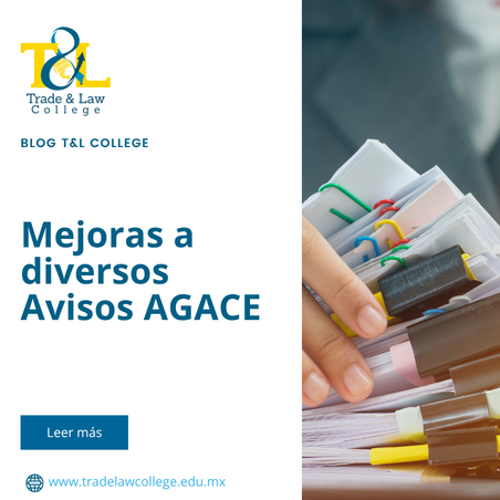 Mejoras a diversos Avisos AGACE