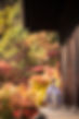 S__158081045.jpg