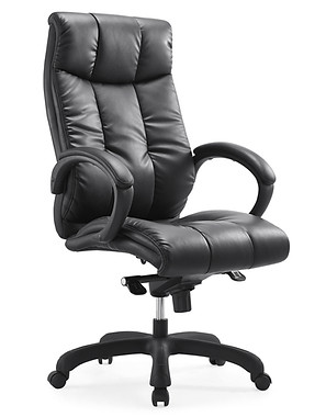 Leopard front view.jpg