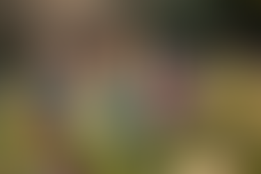 Während der Frühling endlich da ist, freuen wir HEUSCHRECKen uns schon auf den Theaterzauber der nächsten Theatersaison 26/27