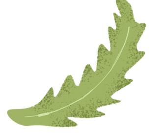 Leaf