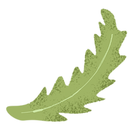 leaf