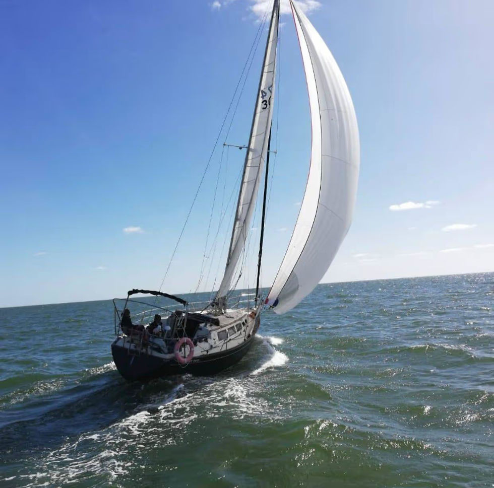0000496_velero-s2-36-pies_edited.jpg