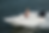 Lancha Boston Whaler Super Sport 130
