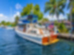 White trawler with blue canopy from a trawler photo gallery.