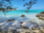 Small dog on a tropical beach in the trawler photo gallery